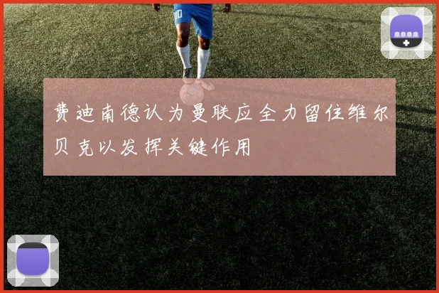 费迪南德认为曼联应全力留住维尔贝克以发挥关键作用